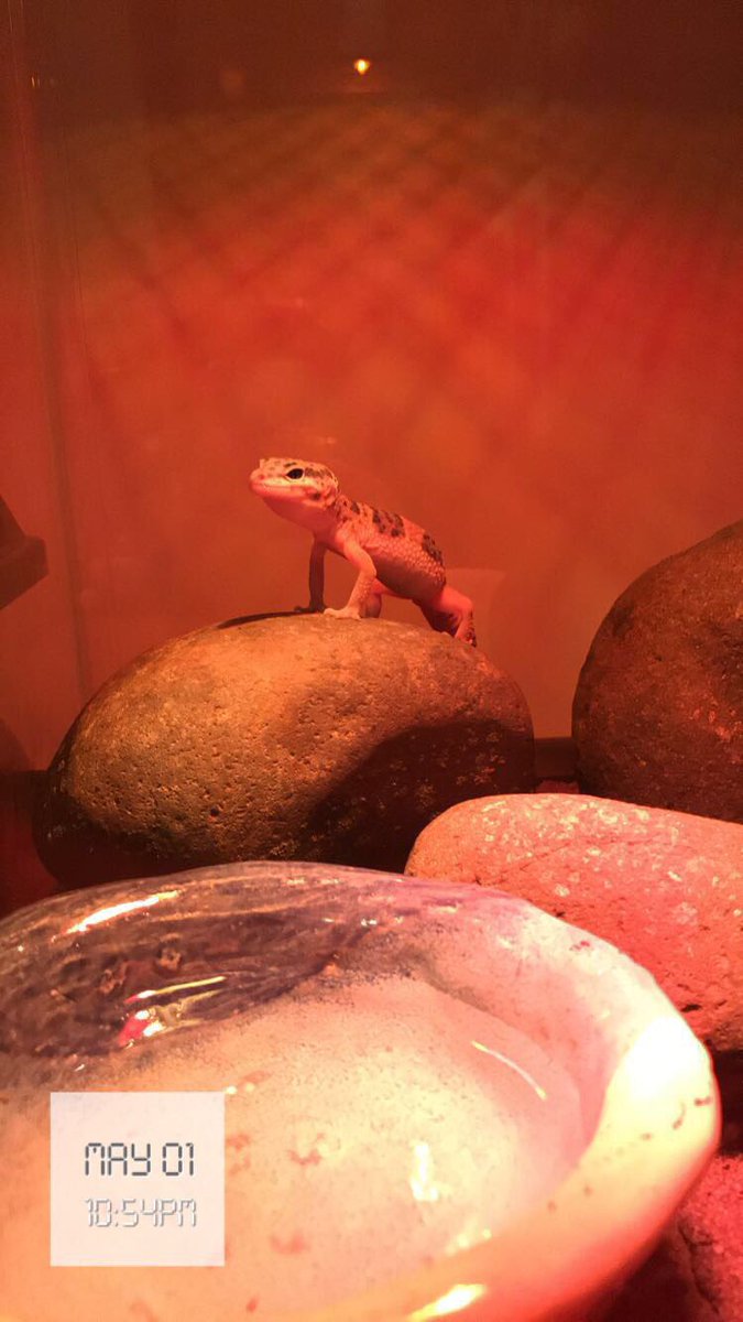 William Martinson tweet media