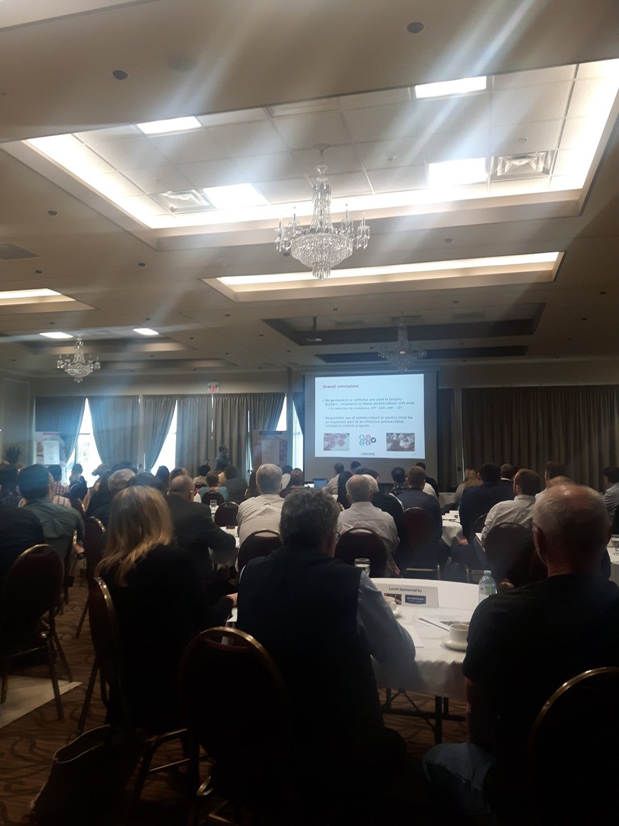 Slamenar10's tweet photo. @ClarkAgSystems in attendance at the @PoultryIndCou poultry research day in Stratford ON. Always an interesting and informative day #PICResearch18 https://t.co/ty5MYcuOwi