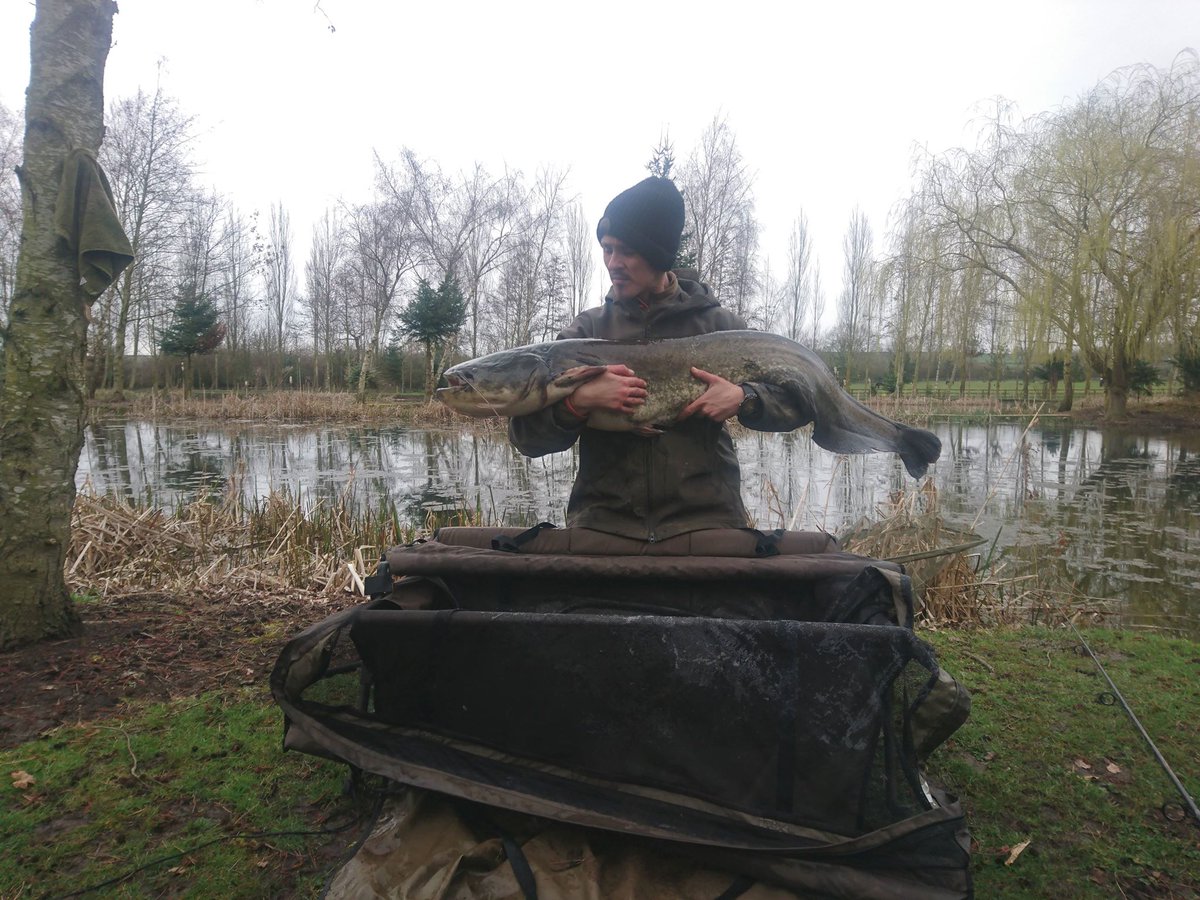 FishingRepublic's tweet photo. Dozza Mason: I went out for a quick day session on Sunday (8/4/18). Not only did I smash my previous PB, I caught my first ever Catfish. She fell to a good ole fashion 15mm Robin red pellet doubled up with pva of crushed Robin red pellets, 37.9lb!
#LocalKnowledgeNationwide https://t.co/DAwd7lie2R