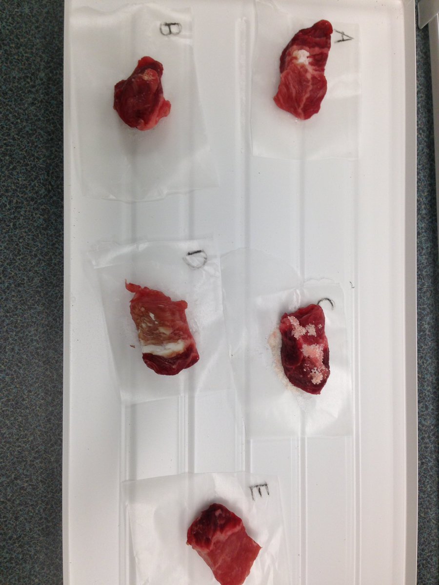 SabreScience's tweet photo. We studied the effects of different salts on meat in forensic science over a weeke @SalComp sodium nitrate dried it out the most! https://t.co/ukbVjbGKzj