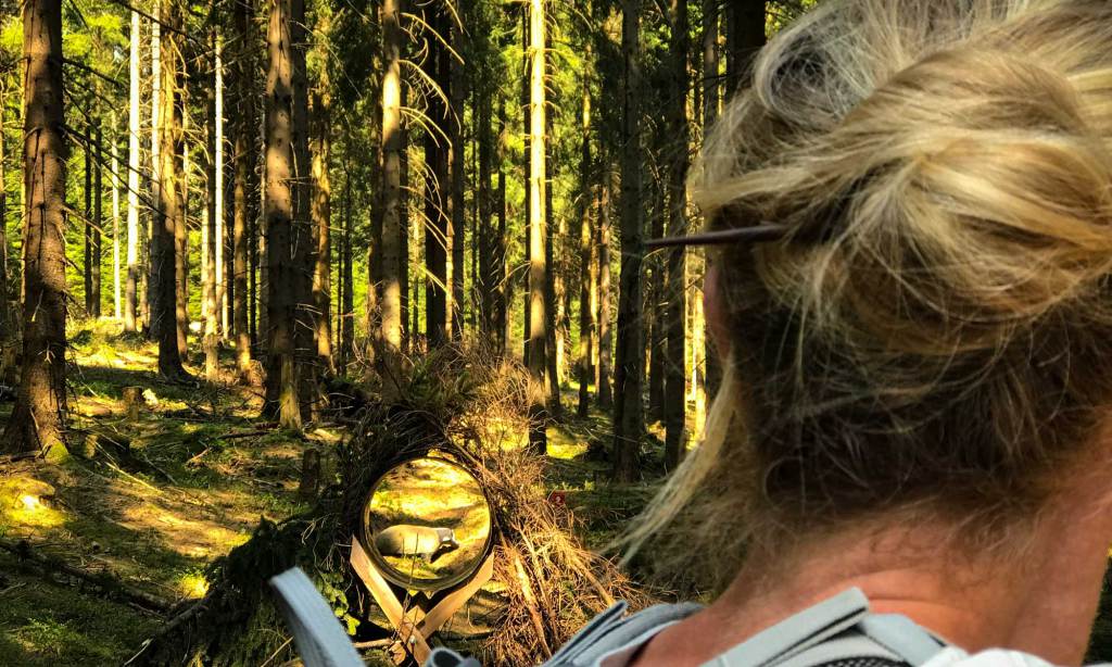 3D Bogenparcours Neuhaus am Rennweg [2018] instinctive-archery.de/2018/05/02/3d-…
