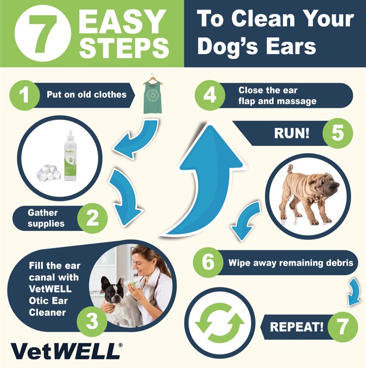 VetWELLPets's tweet photo. Let's face it, cleaning your #petears can be a struggle. Check out this infographic for some helpful tips for using our quick and simple EarWELL Otic Rinse, and learn more about your #pup's overall #doghealth on our blog: https://t.co/FBPQXlVSpX https://t.co/FgdA9lu2MC
