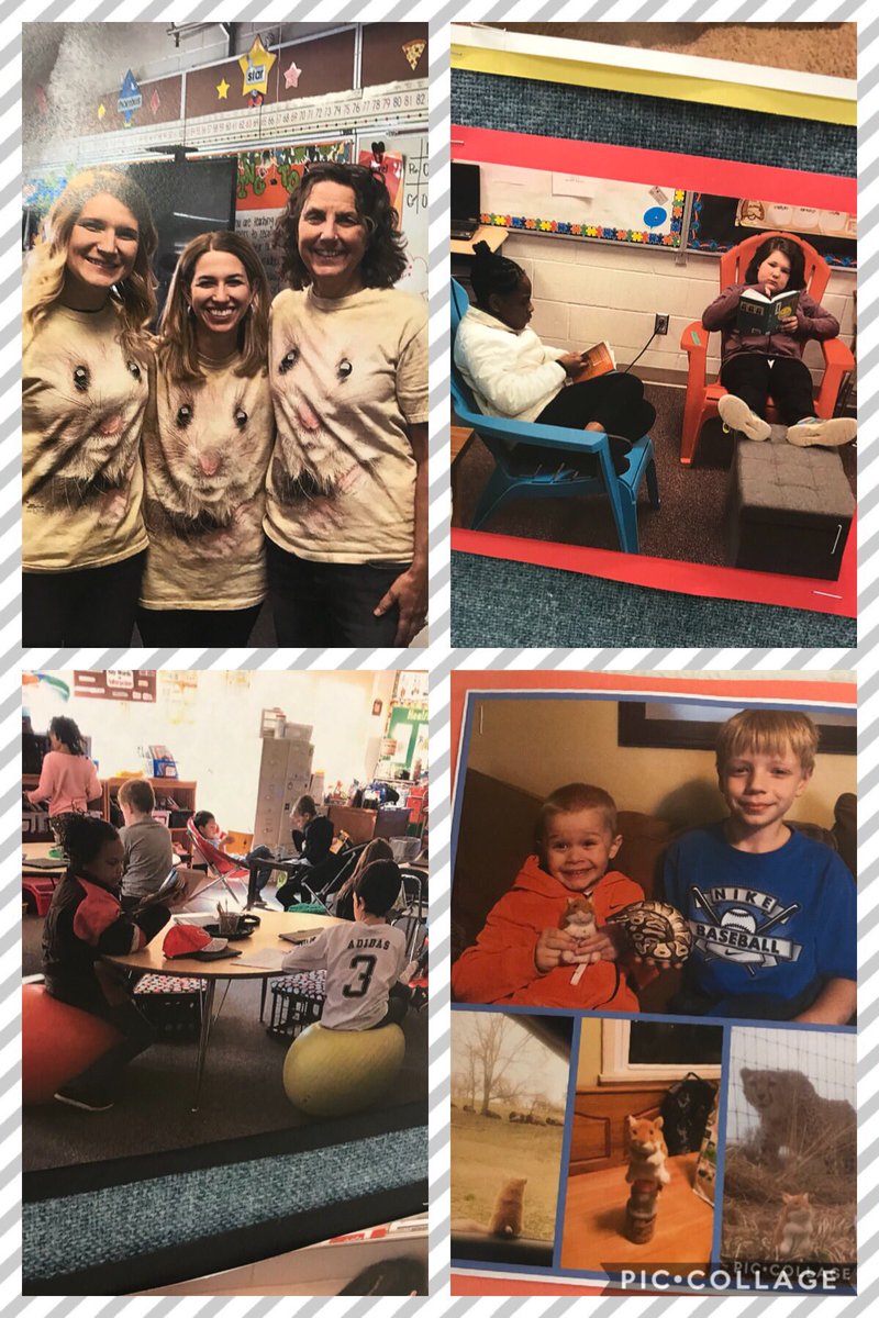 BrookeLandholm's tweet photo. One Book One School @BLPanthers1 @BellevueSchools The World According to Humphrey! Kids,staff, families all share a love for the same book. Everyone so involved from all facets. So neat! @nikkischubauer1 @RachEversole https://t.co/B23A2fgbDi