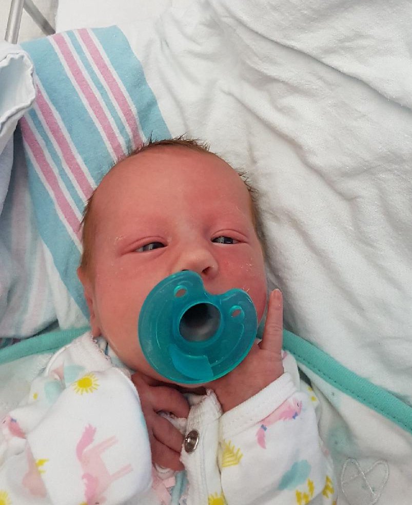 AmstedDB's tweet photo. One more for the #Amsted family. Congrats to Andrew &amp; Kim, who recently welcomed their 4th baby, daughter Amelia! #familyfirst https://t.co/EczeIe77AN