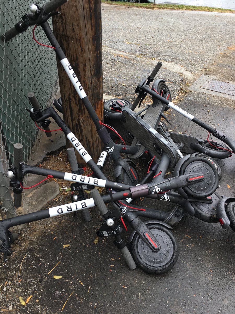 ee_valles's tweet photo. I’m pretty sure this is one of the reasons residents are not happy about these #BirdScooters #Bird #Venice 🛴🛴🛴🛴🛴 https://t.co/W2FWwuQuTl