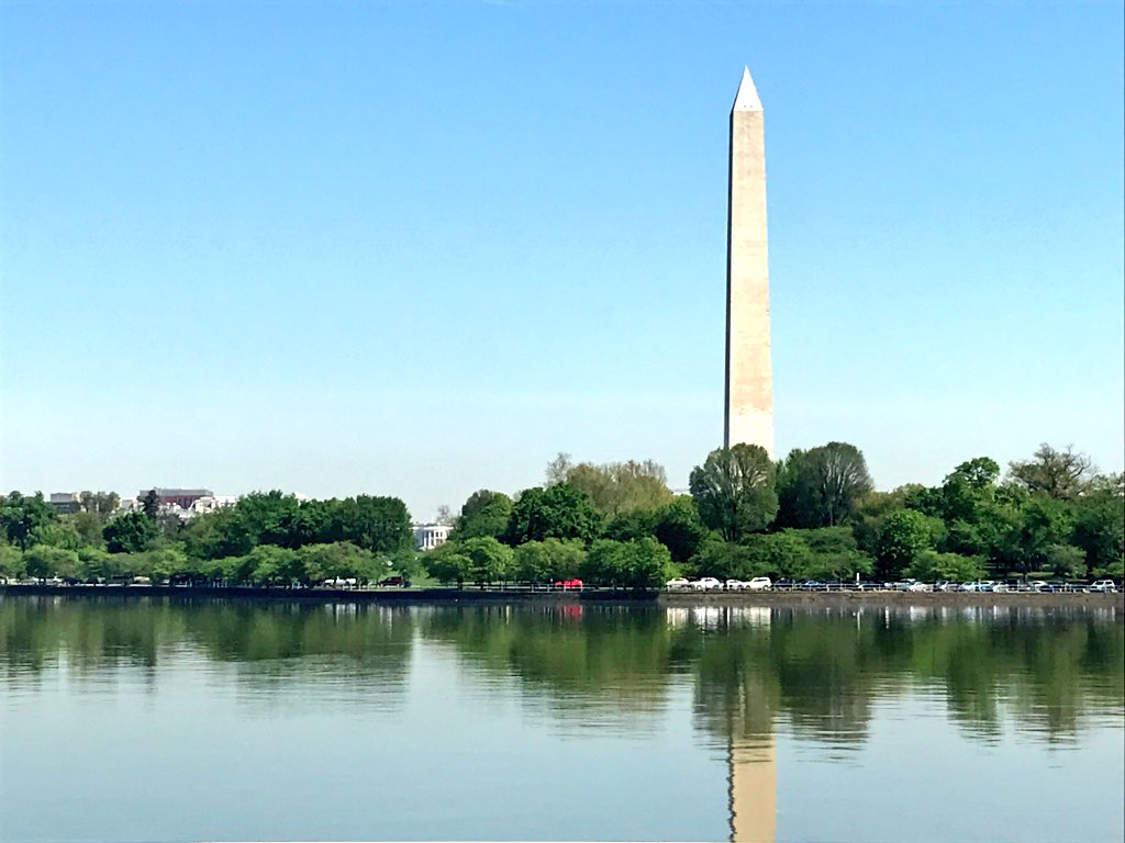 bmsopata's tweet photo. Early morning view from the Jefferson Memorial. Look close and you can spot the White House. #Bus4Lyfe @MrQ_ROMS https://t.co/HEODLV3p7R