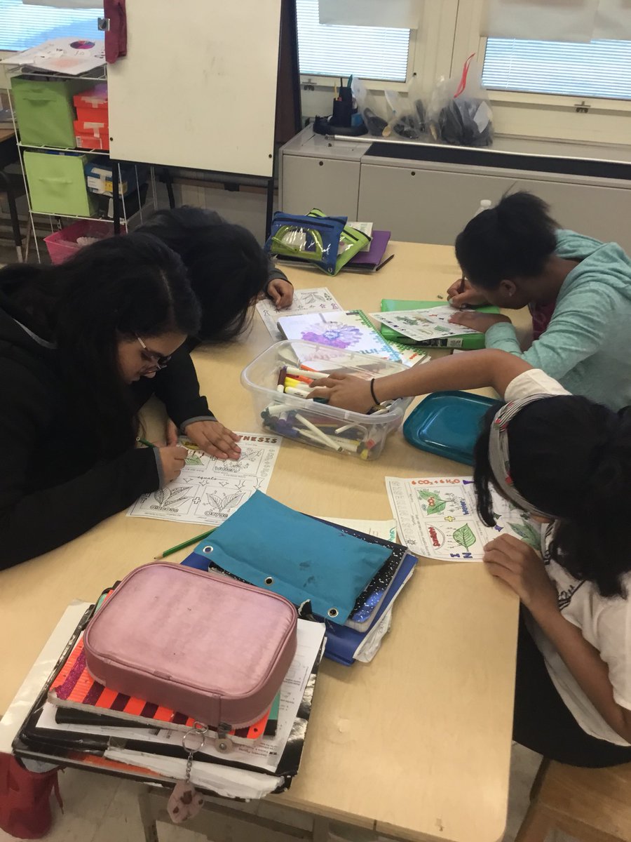 Mrs_Rogoff's tweet photo. Doodling Photosynthesis! #studentengagement #7thgrade #middleschool #science #earthscience #collaboration #pearsonscience @mr_degraw @IselinMiddle @ZegaRobert @WdbgSchools https://t.co/cGh93qAJq6