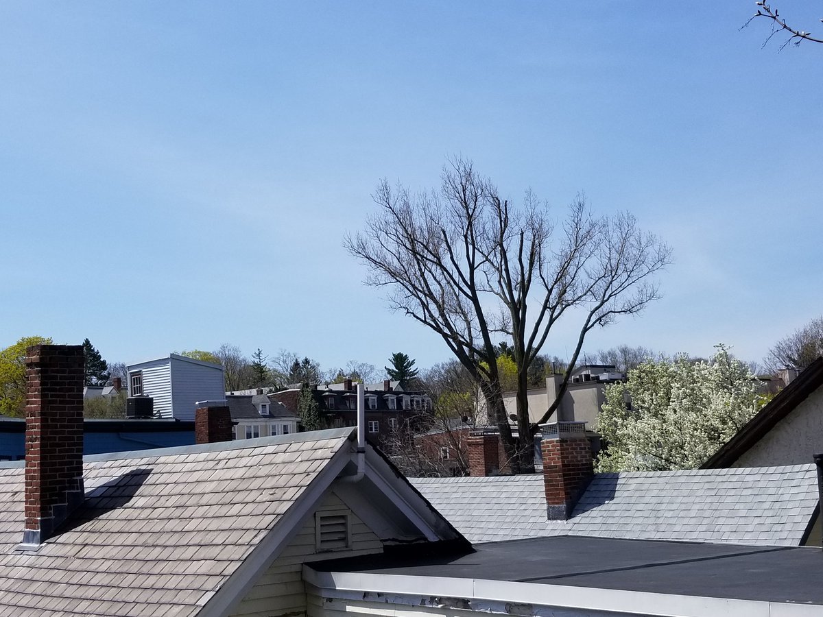 the village works vllgwrks twitter vision works brookline