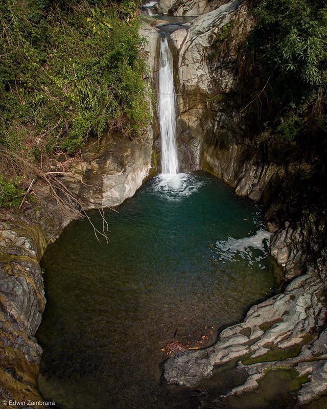 tiratepr's tweet photo. Vamos pa'l río....😎🚁🎮💦 📍Collores, Joana Díaz
📷 @edwin_pr_07
👥 Utiliza nuestro #tiratepr
#collores #juanadiaz #puertorico #20likes #naturelovers #naturephotography #tiratepr https://t.co/LwnxPTKbuU