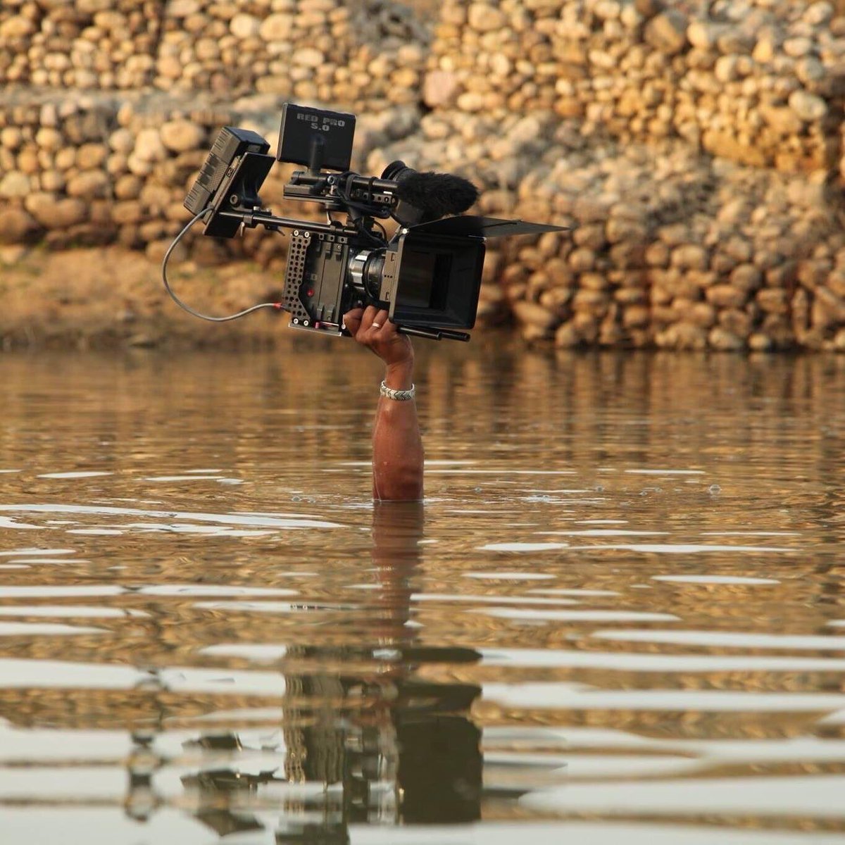 Justin Schein (@justin_schein) on Twitter photo 