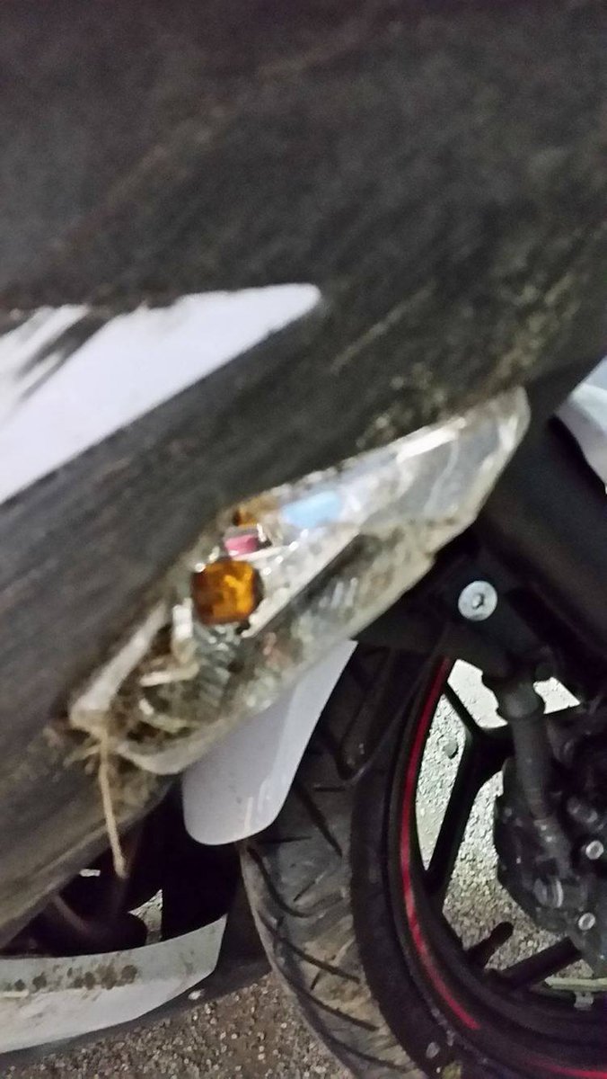 MathewR88846850's tweet photo. Today mark's one year since the day my life was changed and I got into my motorcycle accident. Everyone whoe rides please stay safe. ❤ https://t.co/tTdqrO0dbs