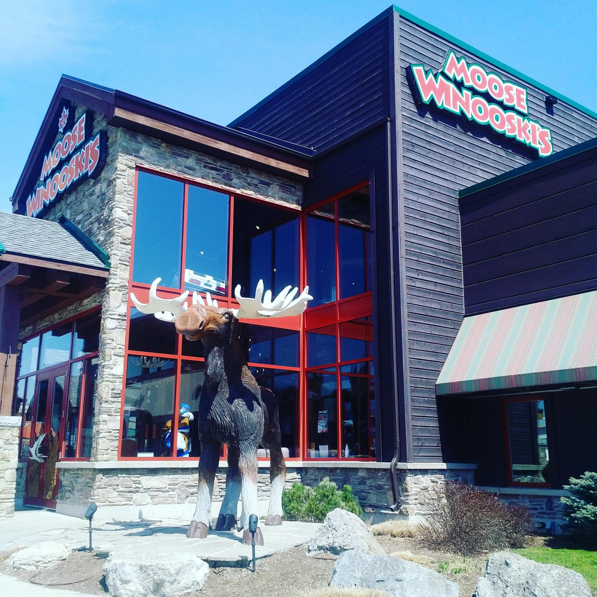 Moose Winooski S On Twitter The Sun Is Shining And The Weather