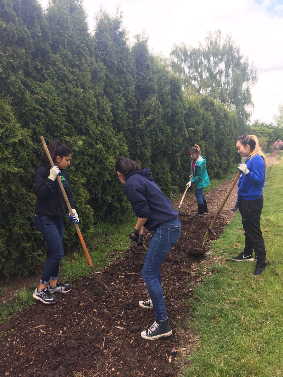 SKTeens's tweet photo. McKay Beautification Day 2018 brought out 69 students and 9 adults last Saturday. Tackling 30 yr old ivy, helping trees stay healthy, and curb appeal were goals.  Full slideshow: https://t.co/iTOjjTAuC8 https://t.co/0THZ219COn