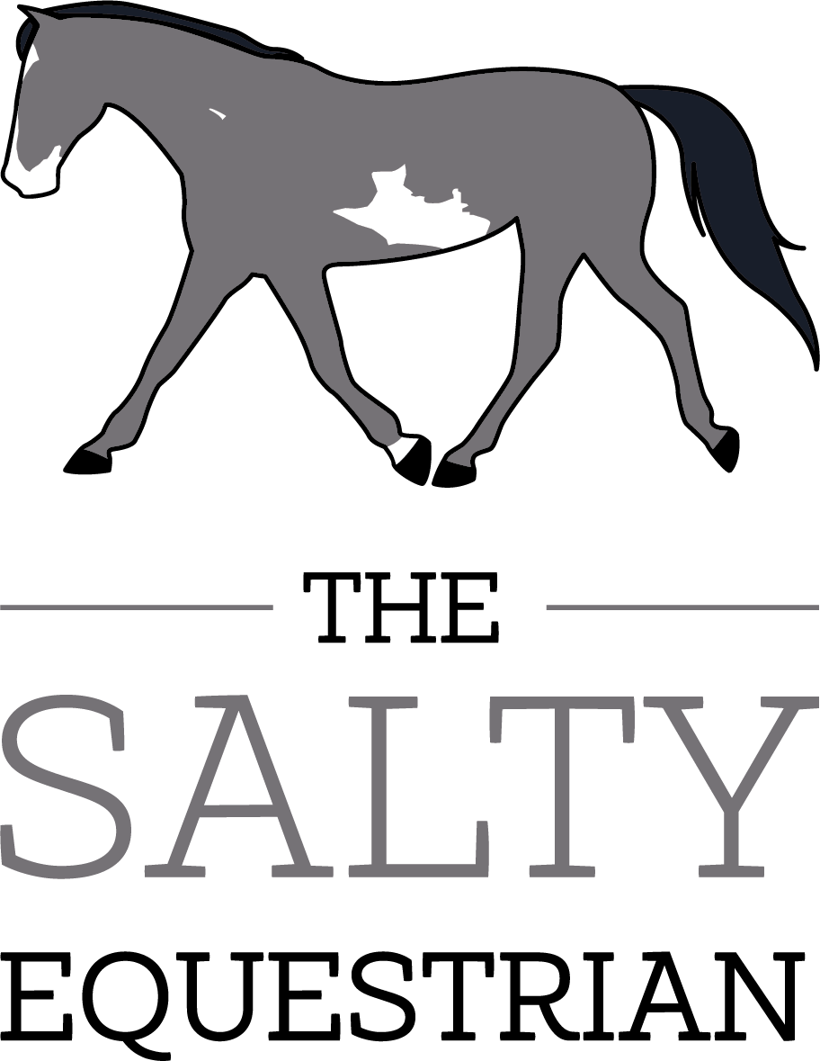 SaltyEquestrian's tweet photo. Logo https://t.co/DTCYwWTRyT https://t.co/0ejeofrEBv