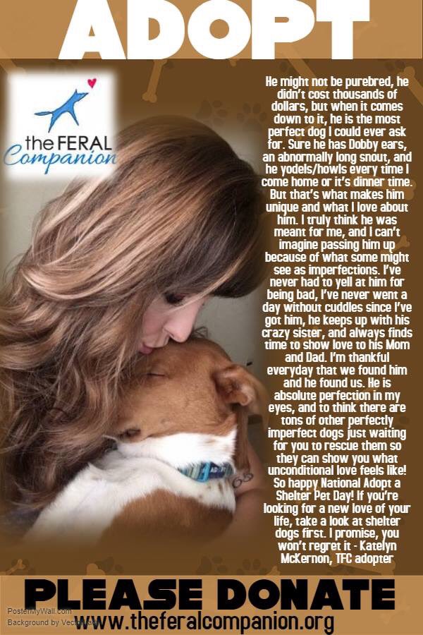 FeralCompanion's tweet photo. Donate today for #stlgives. Help us save feral dogs across the country. #tfcdogs #adoptaferal https://t.co/F4Vl6v0Pkl