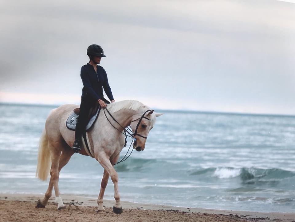 horsealot's tweet photo. Happy Birthday @iman_perez 🎉

#Horsealotambassador https://t.co/gxElUnxMz8