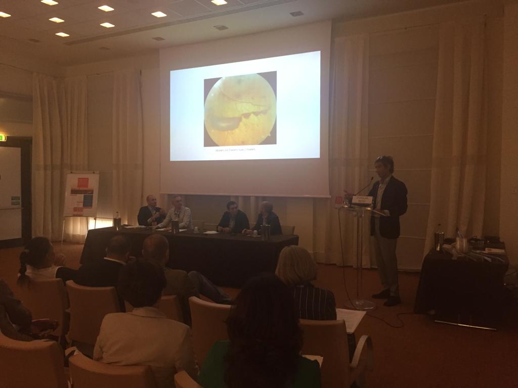 MAYAIdeeItalia's tweet photo. Aggiornamenti su #retinopatiadiabetica ed #edemamacularediabetico (FIRENZE – 27.4.2018)
Presenti una cinquantina di partecipanti, moderatori: prof. Stanislao Rizzo e prof. Gianni Virgili dell'Università di Firenze.
#corsoecm #eventoecm #corsoecmgratuito #mayaidee https://t.co/u4dQQieDbL