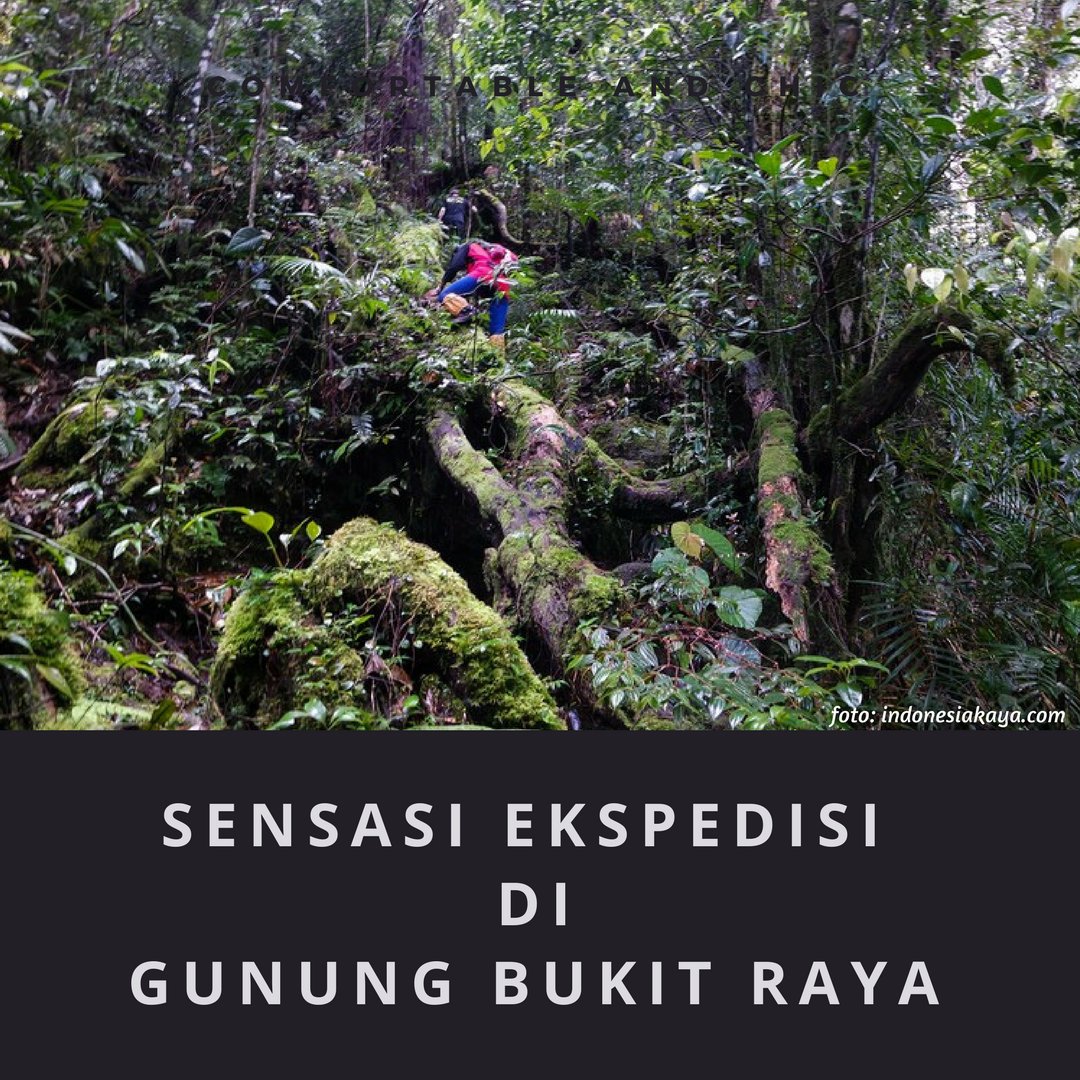 gunungnet's tweet photo. Gunung Bukit Raya dikenal sebagai gunung termahal dan tersulit setelah Gunung Carstensz Pyramid di Papua.
Simak cerita lengkapnya di https://t.co/gYfiEae7kL
#gunungnet #indonesia #bukitraya #cartensz #puncakjaya #semeru #kerinci #rinjnai #latimojong #binaya #travelphotography https://t.co/WbAox6kQcy
