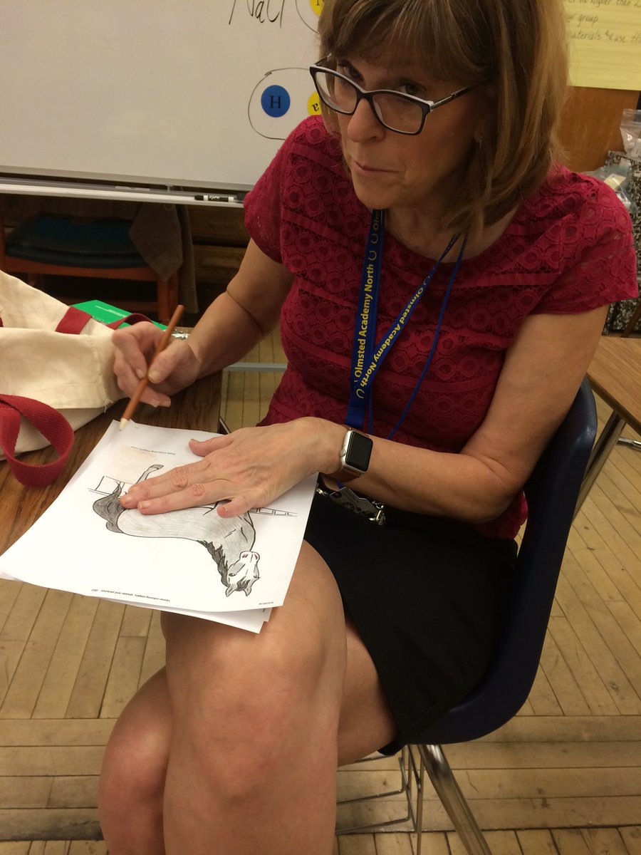 MissRiedy's tweet photo. Prepping an example for our @KentuckyDerby design a horse challenge this AM #teachinginderbycity #derbythings @OlmstedNorth https://t.co/I4OVvJUGOR