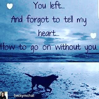 theralphsite's tweet photo. How poignant is this? 
#petloss #petsarefamilytoo #rainbowbridge #petbereavement https://t.co/Zs4uPTTVEy
