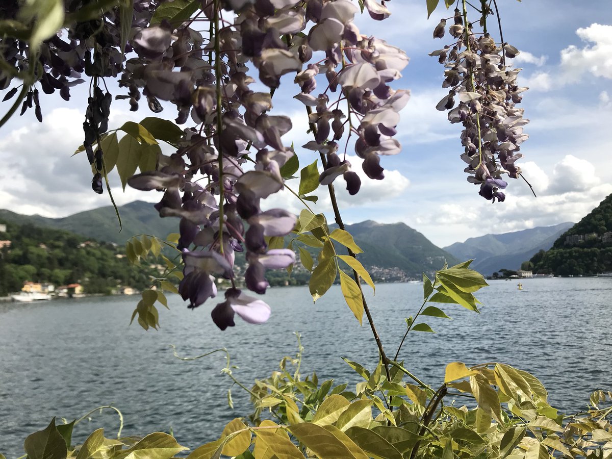 Alice_Tagliabue's tweet photo. Co-mo? #itinerari #lago https://t.co/QVtV9YFgIS via @wordpressdotcom https://t.co/V4J658bM8M