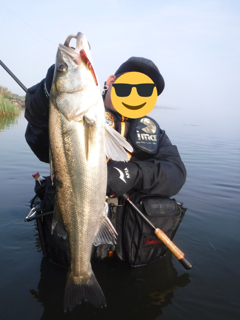 Taku_seabass24's tweet image. GW５日目は仲間と『利根川』のデイゲームへ！！

開始早々に「キックビート70」でキャッチした後は、全員安打‼︎(^O^)

その後連発するもバラシの連続💦

またリベンジします👍❗️
#fimoオリカラ
#リアルキッス