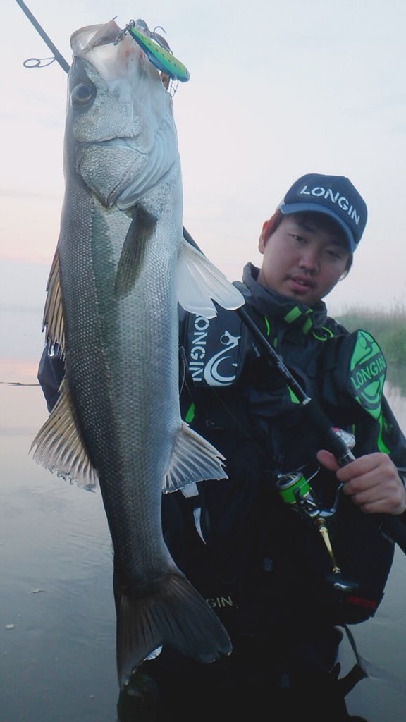 Taku_seabass24's tweet image. GW５日目は仲間と『利根川』のデイゲームへ！！

開始早々に「キックビート70」でキャッチした後は、全員安打‼︎(^O^)

その後連発するもバラシの連続💦

またリベンジします👍❗️
#fimoオリカラ
#リアルキッス