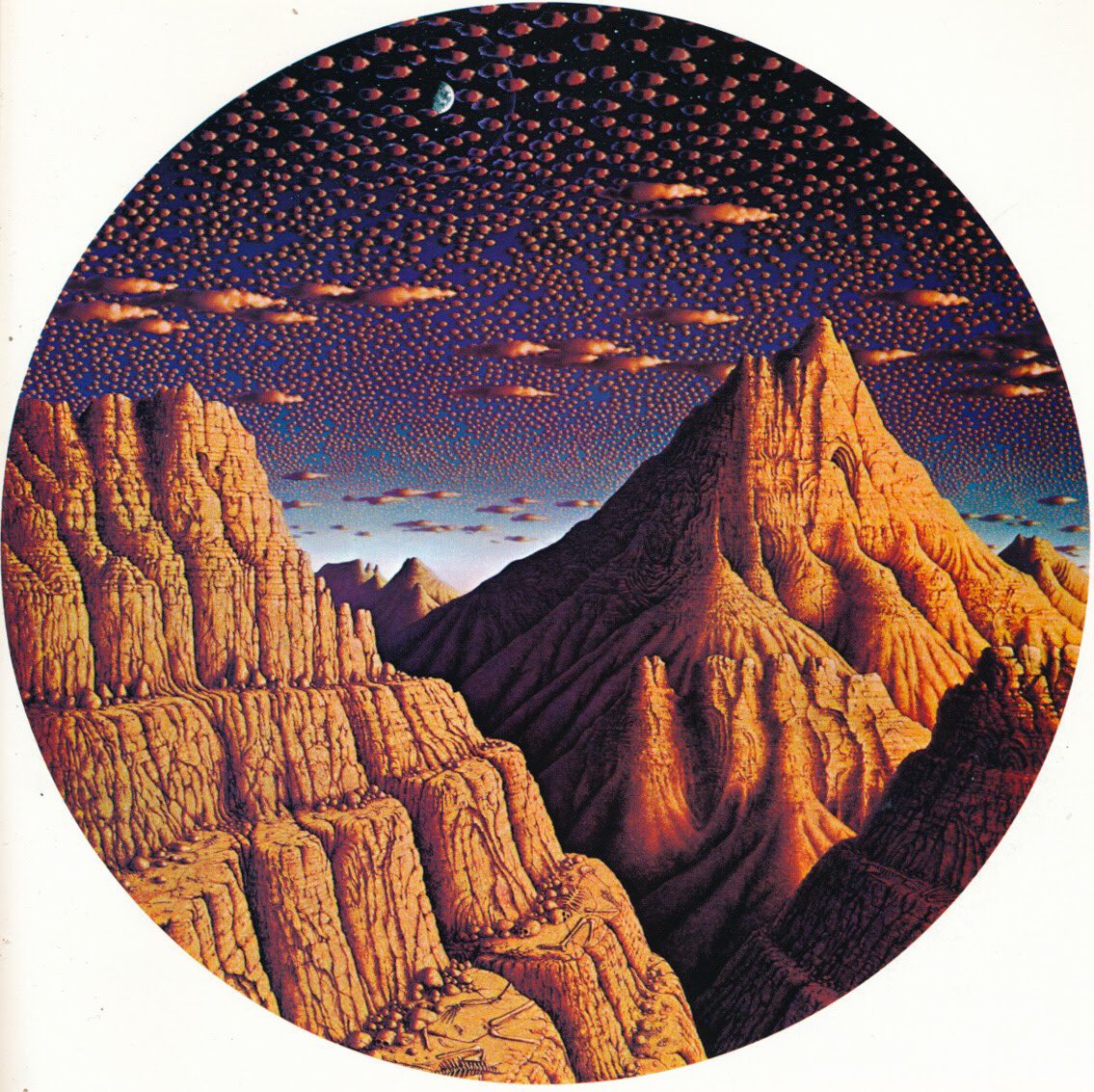 Canyon by Bill Martin (1972). From the book Visions (1977, published by Pomegranate)