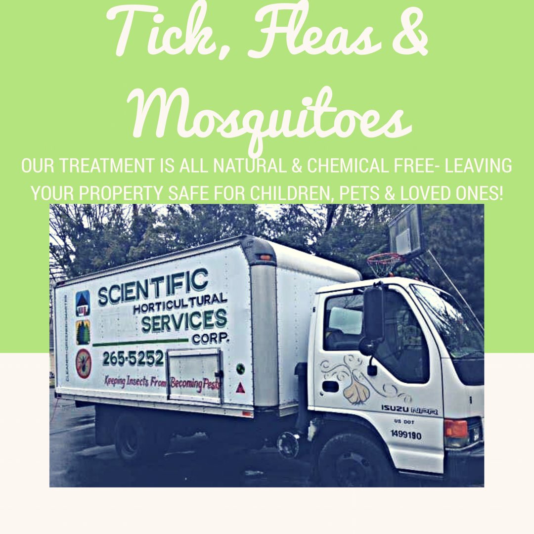 scientificext's tweet image. Looking to keep your yard FREE OF TICKS FLEAS AND MOSQUITOES? Call today for our treatment! Our tick, mosquito and flea treatment is a garlic oil &amp;amp; dries within minutes. It’s best to act early as the the treatment is a repellent and will keep these insects off your property!