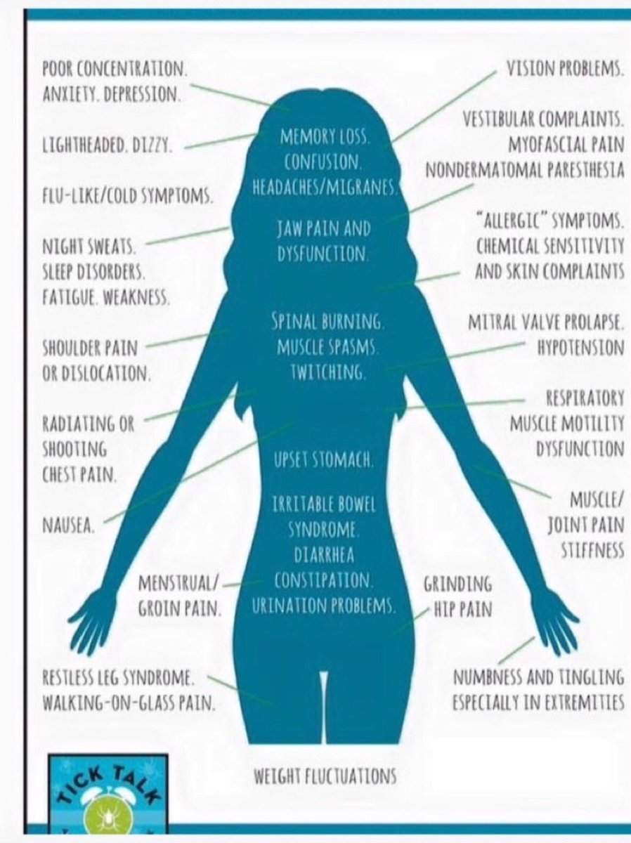scientificext's tweet image. Do you know the signs of Lyme Disease? Check them out &amp;amp; schedule your tick treatment to protect your family and loved ones! #LymeDiseaseAwareness