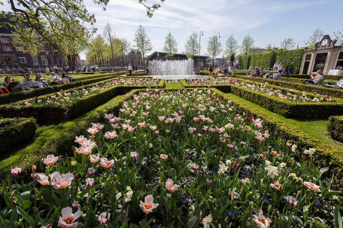 rijksmuseum's tweet photo. Enjoy the tulips in the Rijksmuseum Gardens! Marrel’s 17th century drawings were the inspiration for the design. In that time, especially the flamed and spotted tulips were beloved because every single one of them was unique. https://t.co/917VlMS7qQ https://t.co/Fe6fAkIroV
