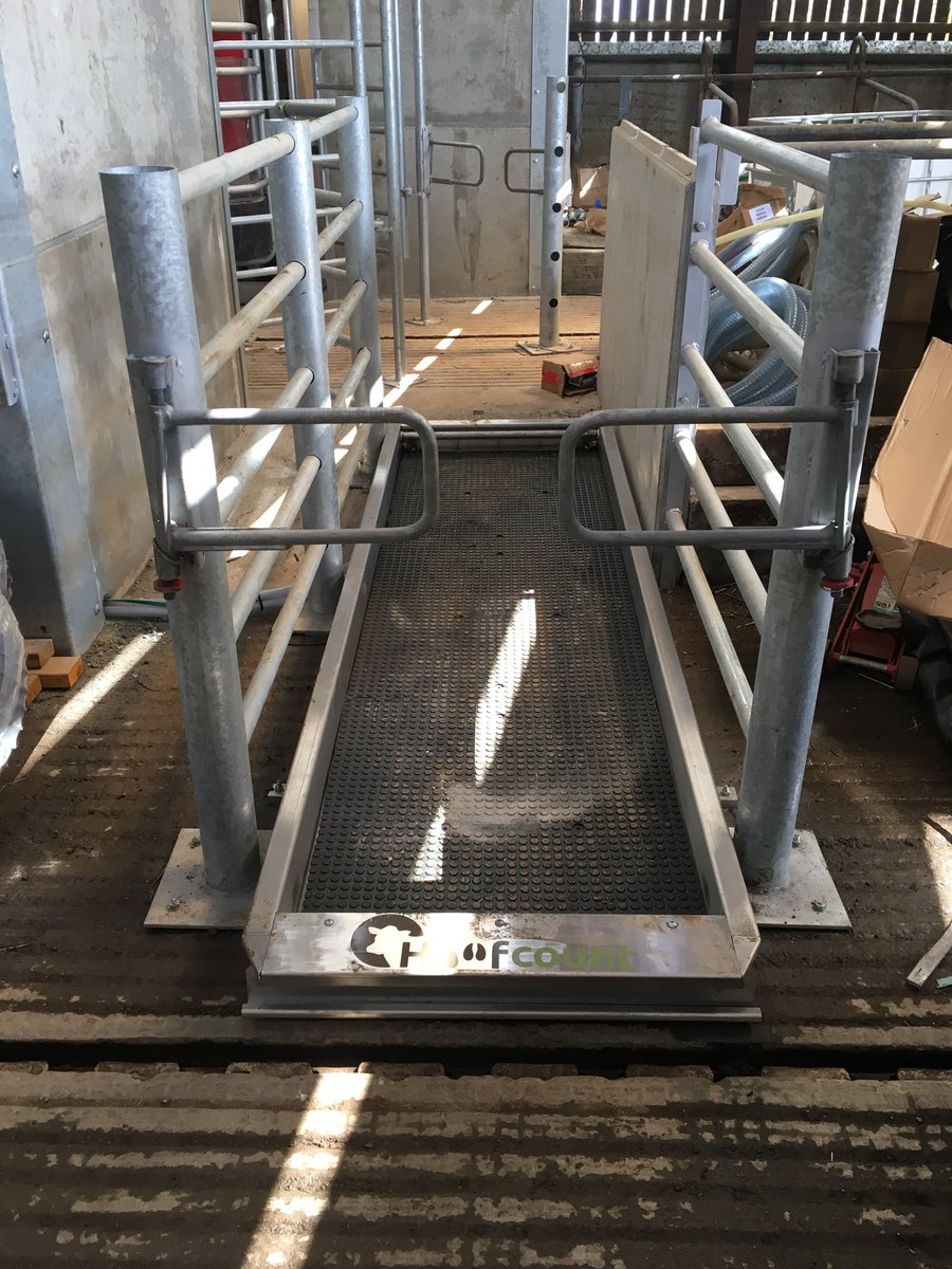 Hoofcount1's tweet image. Nice to get in before the cows on this footbath installation today #dontsmelltonight #cleantools