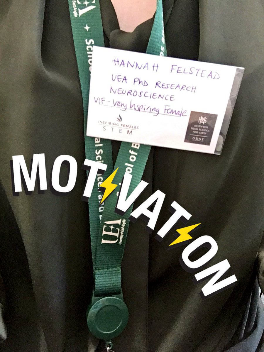drbrainstuff's tweet photo. Amazing to get involved with #IFSTEM today! So many amazing inspirational women with such diverse career paths! @InspFemales https://t.co/eVWbwk0Be2