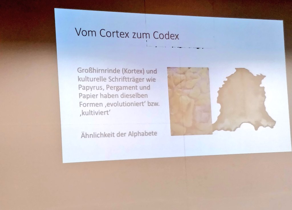 _DearMe21's tweet photo. Woa. Unser Gehirn ist also eigentlich eine Tierhaut. Oder Papyrus. Oder Pergament. Oder im modernen Fall 100g/qm satiniertes Druckerpapier?
#verrückt #evolution #kortex #codex https://t.co/vfBSllx9S4
