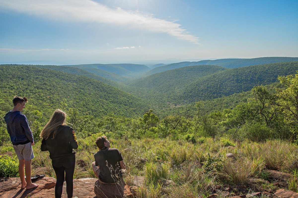 kaingo_reserve's tweet photo. "The poetry of earth is never dead." - John Keats.

So many beautiful spots to visit that it's just too hard to pick one... Come enjoy the beautiful landscapes, botany and scenery at Kaingo  Private Game Reserve.

Make your booking today! https://t.co/fToRFDum3u https://t.co/xgr2ubcQVr
