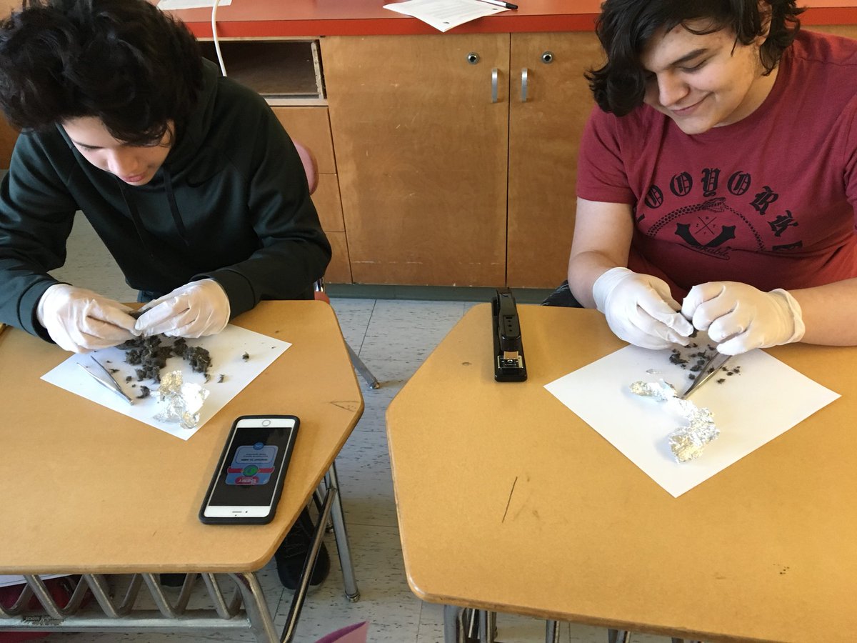 MrsBastienEB's tweet photo. Nothing grosses out kids more than dissecting owl pellets before 8am! https://t.co/699j7KkMR1