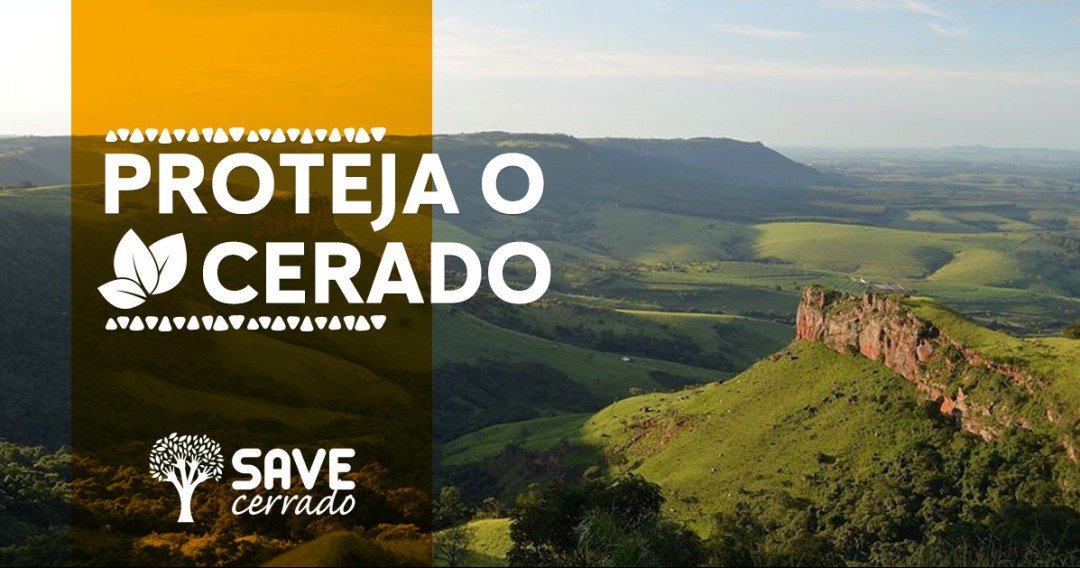 SaveCerrado's tweet photo. Com menos de 2 reais por dia, você pode ajudar a SaveCerrado a proteger o Cerrad... https://t.co/ZJFfTO6xjz https://t.co/FN6n4duoy2