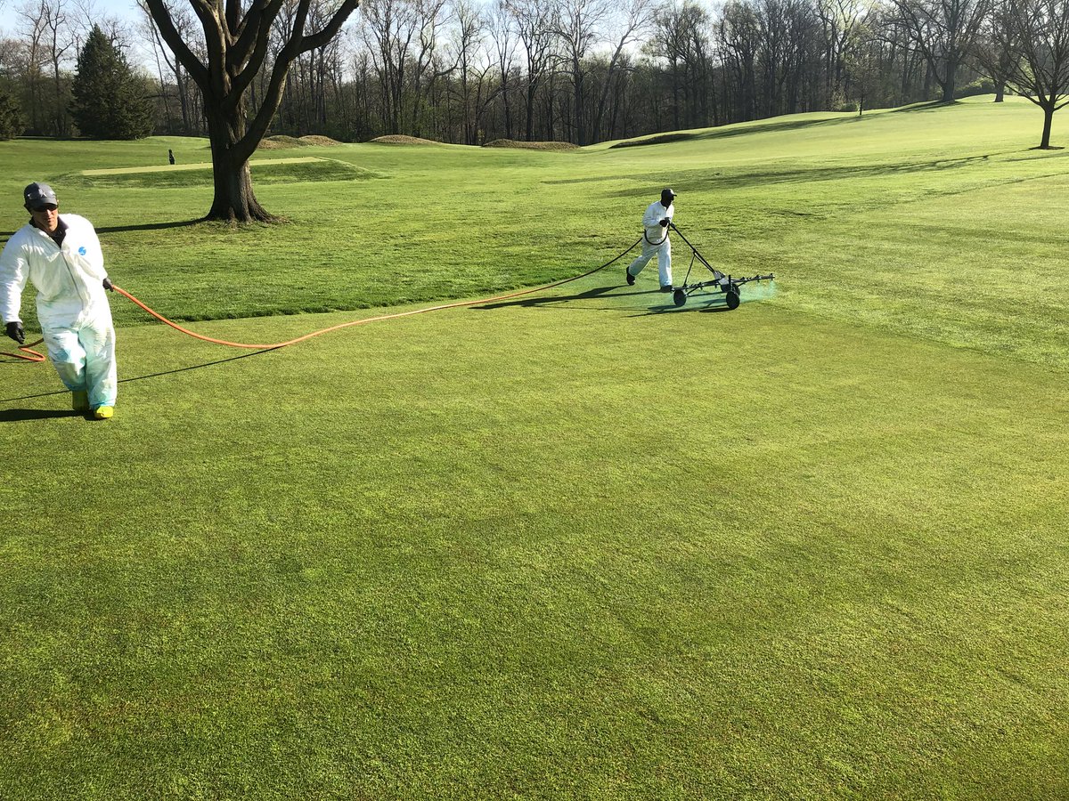 AndrewDooleyGCS's tweet photo. #evilweevil 1st generation peak adult movement with @itsnotjustgrass @QwabeWandile @ajgolf76 https://t.co/ofLGvvgDEV