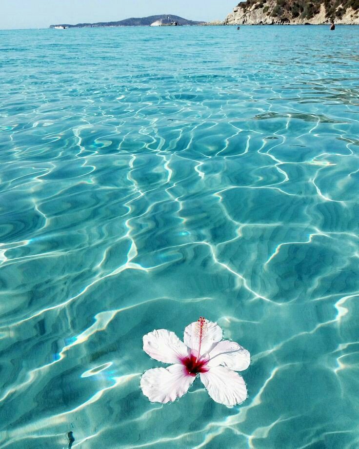 Gallerry1's tweet photo. น้ำทะเล😎🏖🏝💧❄

รีทวีตเพื่อเป็นกำลังใ💗
ฝากติดตามด้วยน้า🙏💞
#วอล #วอลโฟน #วอลเปเปอร์ไอโฟน #วอลเปเปอร์ #วอลเปเปอร์สวยๆ #วอลเปเปอร์แจกฟรี #วอลไอโฟน #แจกวอล #แจกวอลเปเปอร์ https://t.co/AtG4imy2wj