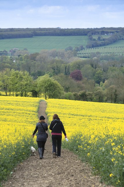 KentDownsNL's tweet photo. #AONBs - Easy to get to. Perfect for a weekend (or weekday!) escape! Wonderful walking territory -  #WalkYourWayToHealth in our #OutstandingLandscapes #Try20 #WalkThisMay #outstandinghour #ReconnectingPeopleWithNature #FutureGenerations https://t.co/wrZ2CCJoTG