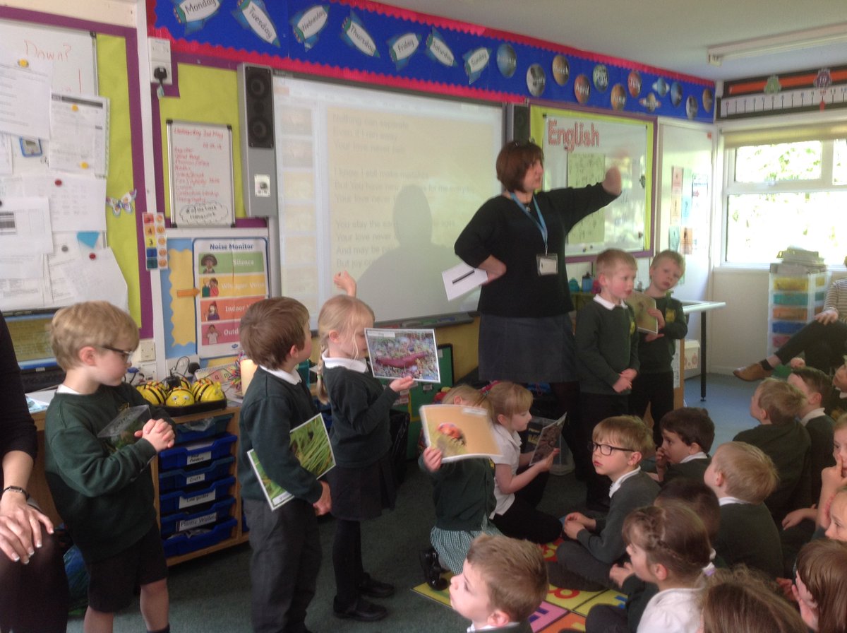 Offwell Primary tweet media