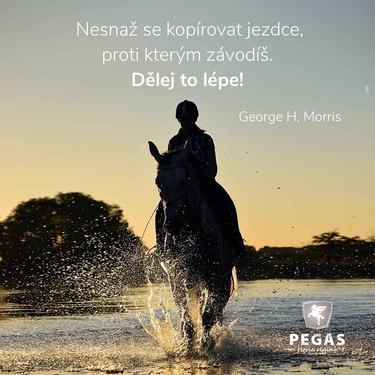 jezdectvi's tweet photo. "Nesnaž se kopírovat jezdce, proti kterým závodíš. Dělej to lépe!" (George H. Morris)

#jezdeckepotreby #pegas #citaty #kone #prokone #projezdce #staje #milovnicikoni #milujukone #jezdeckepotrebypegas #jezdectvi #koně #jezdectvijemujzivotnistyl🐴 #jedunakoni #koňařky #koníci https://t.co/pWTOxpOQNj
