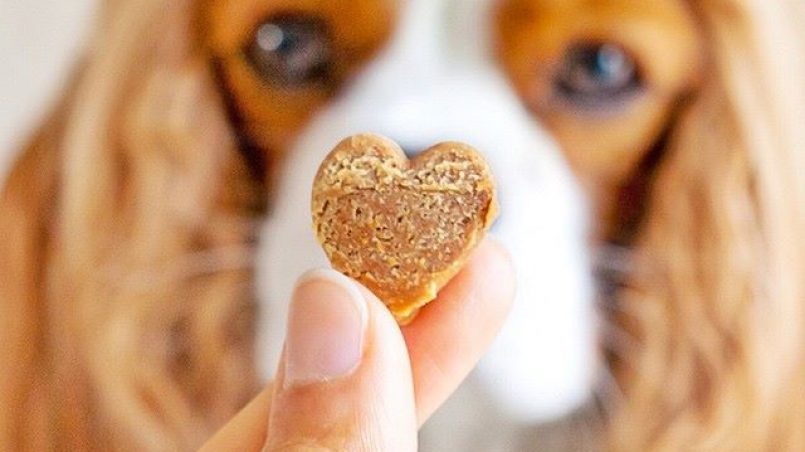 HispAnimals's tweet photo. Toma nota de este producto si tu perro esta en plena recuperación!! Nutrientes esenciales para la alimentación de tu mascota!!😉🐶🍪😊

#HispAnimals #NutrientesEsenciales
#recuperacionrapida #alimentacion #saludanimal

https://t.co/9qyfdVt7lS https://t.co/6wuyrkmwLJ