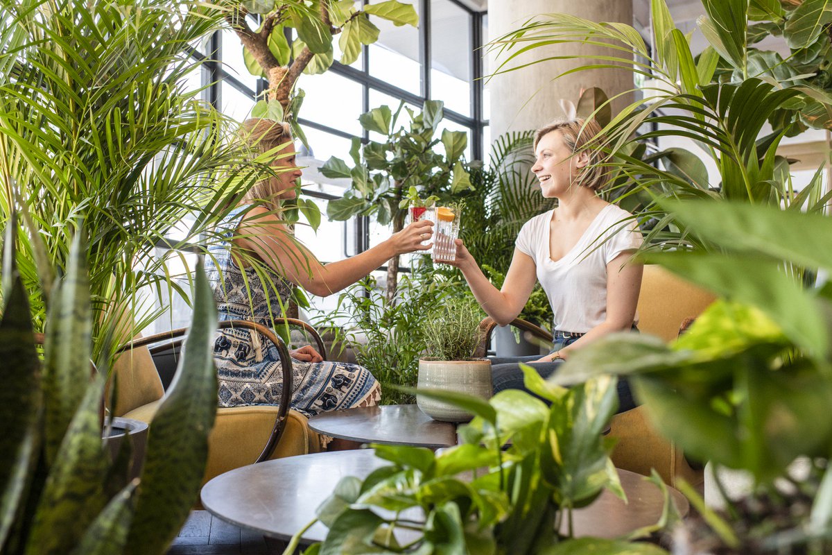 London bar offers drinkers clean air to curb effects of pollution standard.co.uk/go/london/bars…