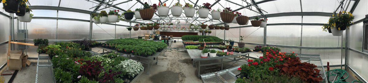 centralcity_ffa's tweet photo. Central City FFA Plant Sale 
May 4th &amp; 7th
4-7 PM 
@ccpsactivities https://t.co/al9DtMqlTz