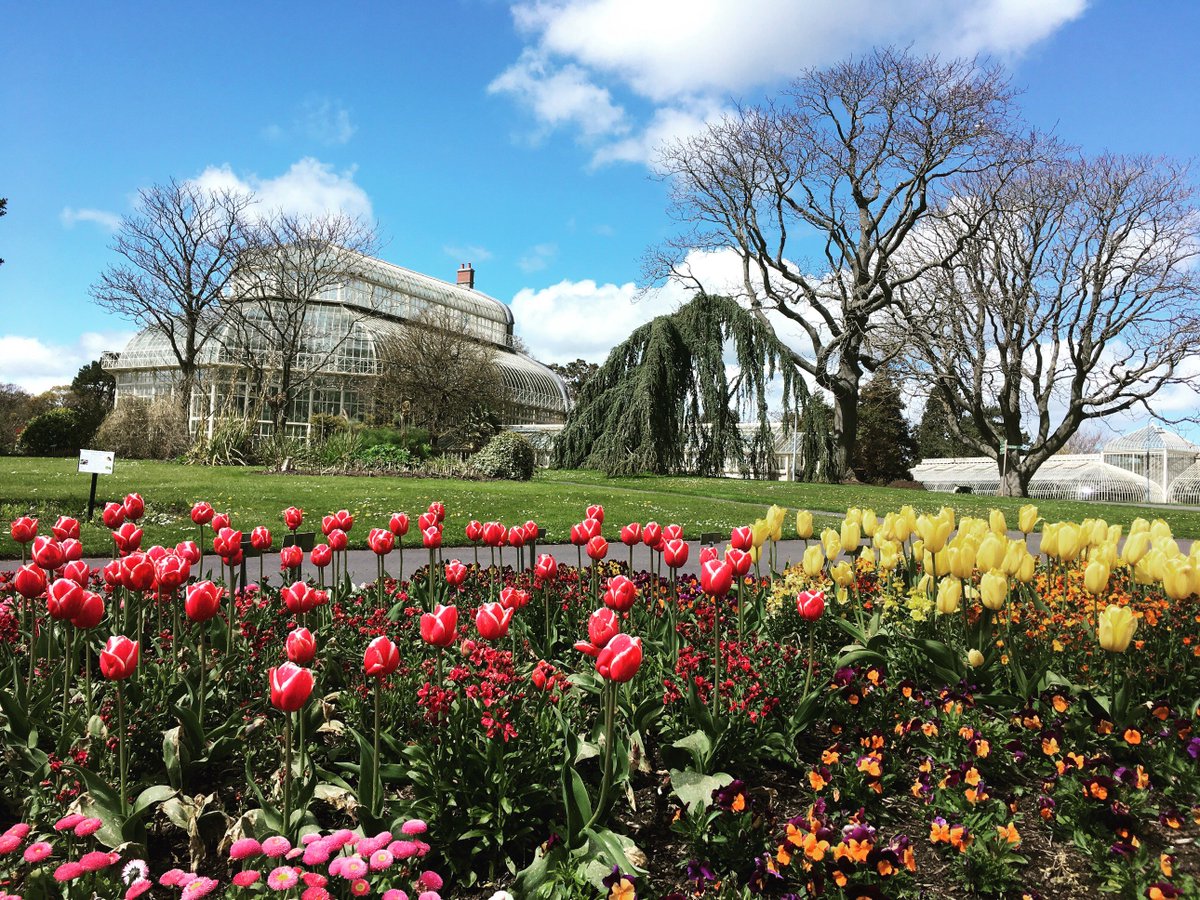 NBGGlasnevinOPW's tweet photo. Another sunny day #springborder #springflowers #springsummer18 #springindublin #sunshineindublin https://t.co/NmzzhUSudU