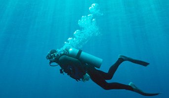 SBA_EasternPA's tweet photo. @SBA_EasternPA #VeteranOwnedSmallBiz 2018 is Chris Gabel, Pres, @oceaneyeinc. His #smallbiz #diving got help from #ResourcePartner @KutztownSBDC https://t.co/7FBM2pkiyL