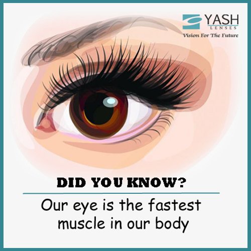 YashOandL's tweet photo. #eye #eyeinformation #healthyeyes #eyehealth #eyes #eyecare #summer #vision #optometrists #optician #spectacles #optometry #ophthalmology #care
#YashLenses #VisionForTheFuture https://t.co/0INJyny39X