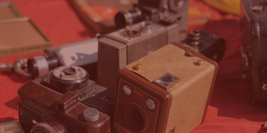 Wool Digital tweet media