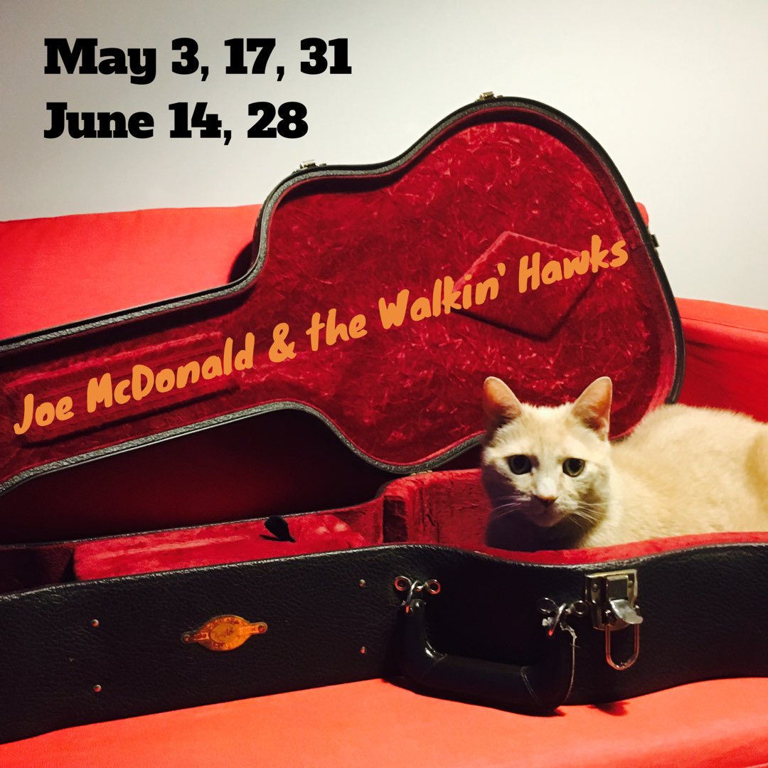 sephmcd's tweet photo. May 3 marks the continuation of our bi-weekly rotation at Tooth &amp; Nail Brew Pub! Great staff, thoughtful beers and of course, smokin' blues! #Catsoftwitter #lespaul #live #blues #shuffle #craftbeer #sun #music #positivevibes #newmerch #albumsforsale #see.ya.dare.eh #canadianblues https://t.co/4PUP5pf4zn